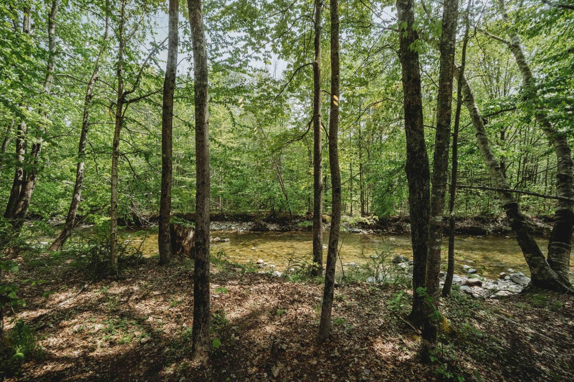 Lumen Nature Retreat ウッドストック 部屋 写真